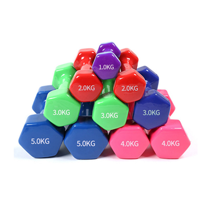 Dumbbell Karet Hexagonal Besi Cor Heksagonal